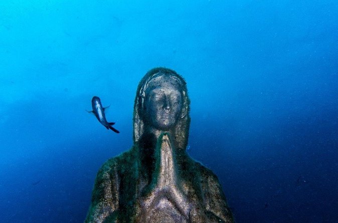 Double dive in the Punta Campanella Marine Protected Area - What the price means at $180.62