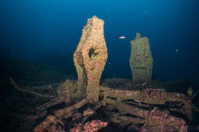 Double Dive the Fantastic Ocean Revival Park - Key points at a glance