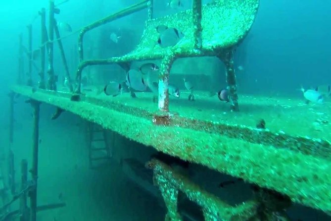 Double Dive the Fantastic Ocean Revival Park - What the small group changes