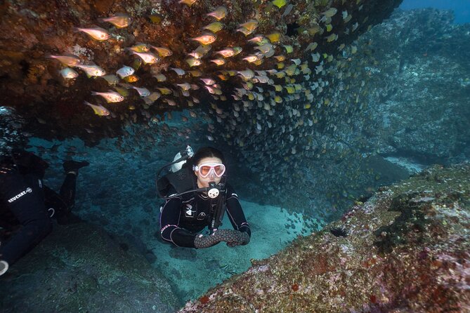 Double Dive to South Solitary Island Coffs Harbour - Key points before you book