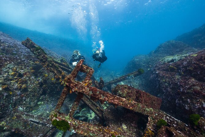 Double Dive to South Solitary Island Coffs Harbour - Your 7:30 am start at Jetty Dive Centre