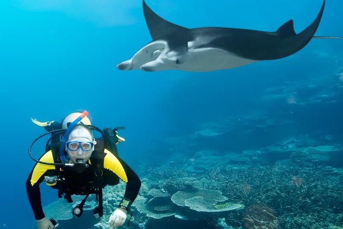 Double Diving in Sal Island - Half Day - Who will get the most from this Sal activity