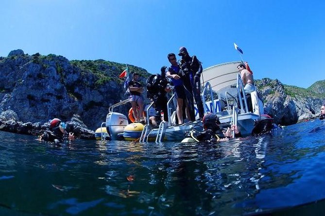 Double dream dive on a Maritime Reserve - Why Sesimbra makes a strong setting for a scuba outing