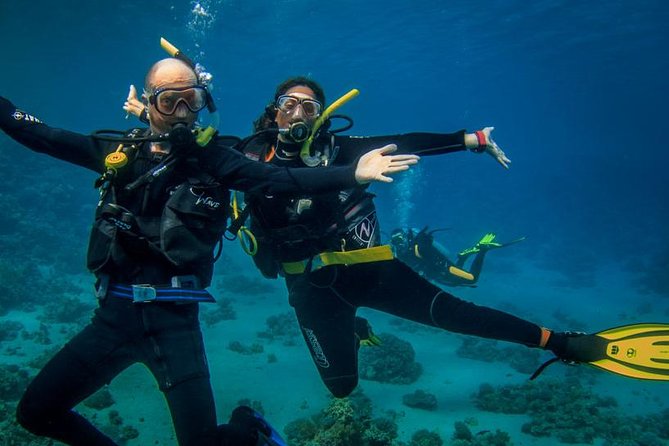 Double dream dive on a Maritime Reserve - Beginners can try scuba with close supervision
