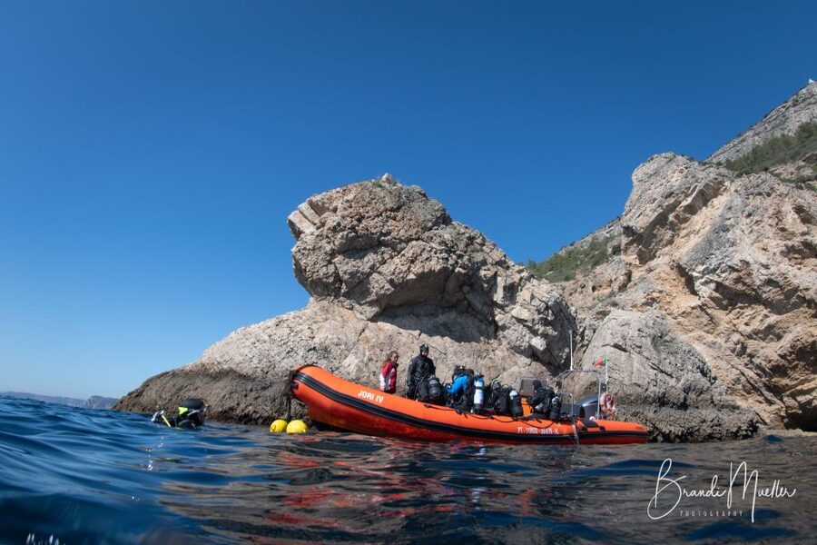 Double Scuba Dive on a Marine Reserve - What makes this Sesimbra outing worth considering