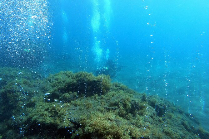 Double Scuba Diving - Understanding the $120.02 price