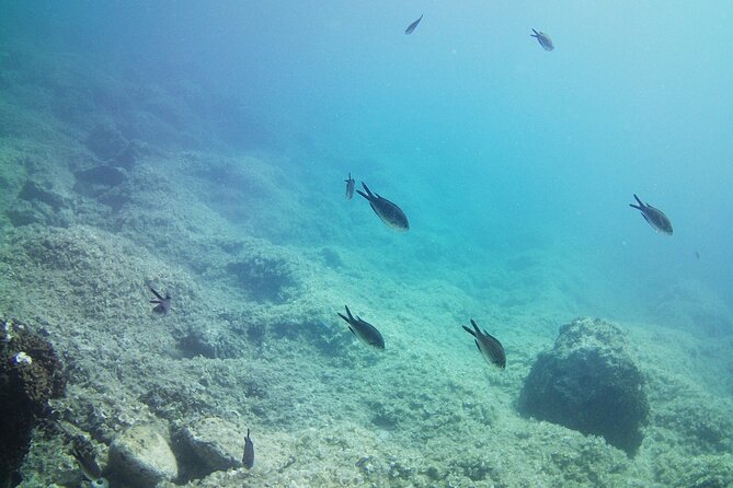 Double Shore Dive (certified divers) - Key points at a glance