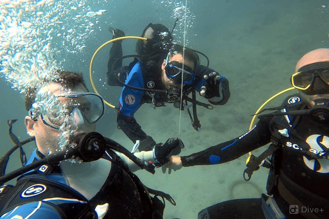 Double Shore Dive (certified divers) - A practical look at the 35-minute schedule