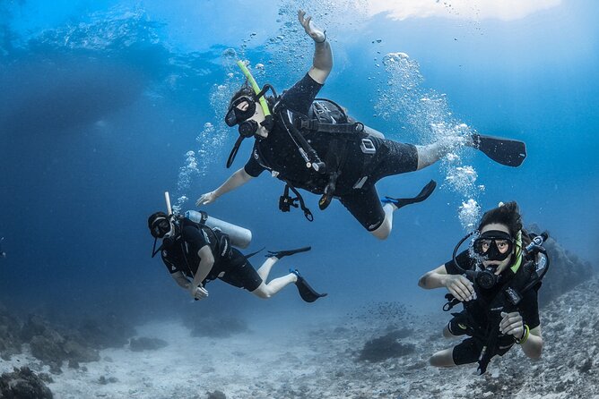 Dream to Dive full Course & private Dive Instructor PADI - Key points to know before booking