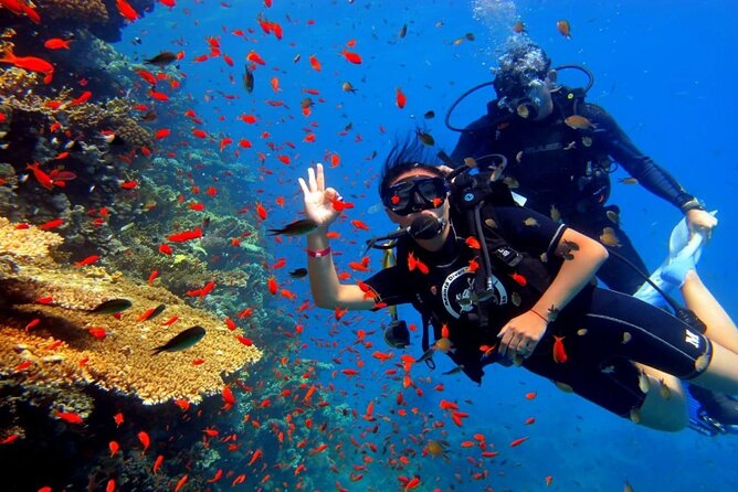 Dream to Dive full Course & private Dive Instructor PADI - Learning scuba in Hurghada, one skill at a time