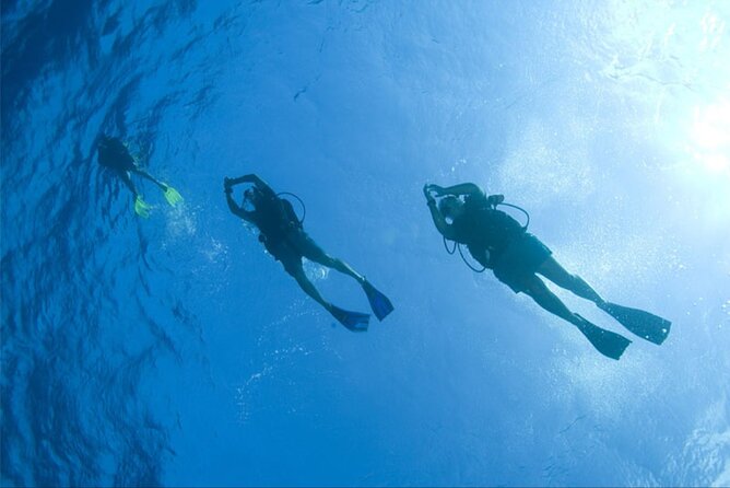 Dream to Dive full Course & private Dive Instructor PADI - What the private format changes