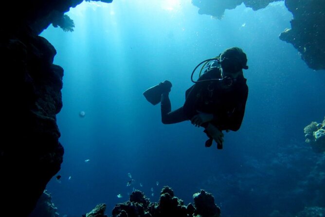 Dream to Dive full Course & private Dive Instructor PADI - Equipment, transport, and the small practical details
