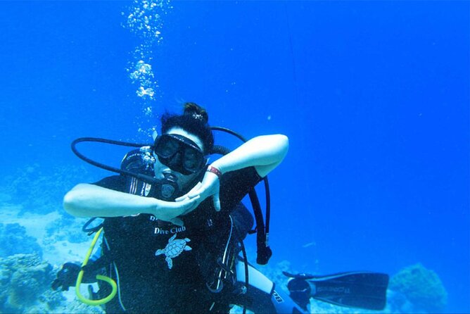 Dream to Dive full Course & private Dive Instructor PADI - Who will get the most from this course?