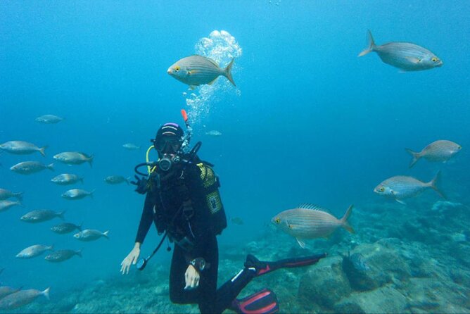 Dream to Dive full Course & private Dive Instructor PADI - How the price compares with the experience