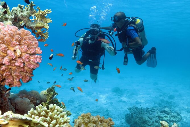 Dream to Dive full Course & private Dive Instructor PADI - Day two: taking the skills into open water