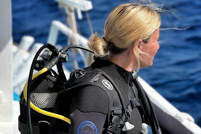 DSD | Discover scuba Diving Experience in Paros - The underwater tour back to the boat