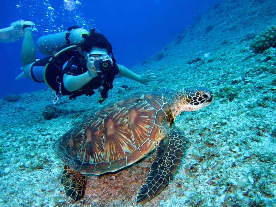 DSD Discover Scuba Diving for a beginner or Certified - Booking, timing, and cancellation details