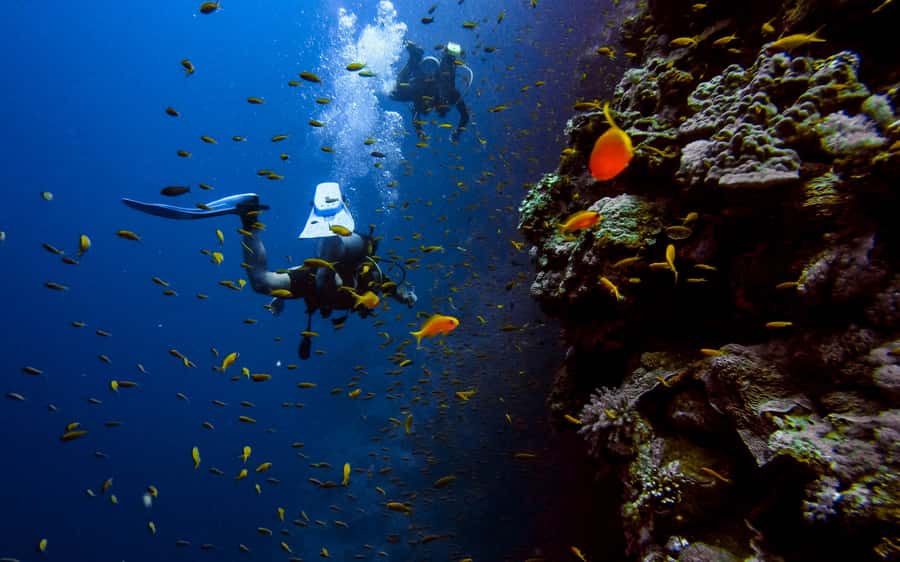 DSD Discover Scuba Diving for a beginner or Certified - Why Aqaba works well for a first scuba session