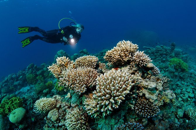 DSD "Discover Scuba Diving" (Min Age 10 Years) - What happens during the 1.5-hour instruction