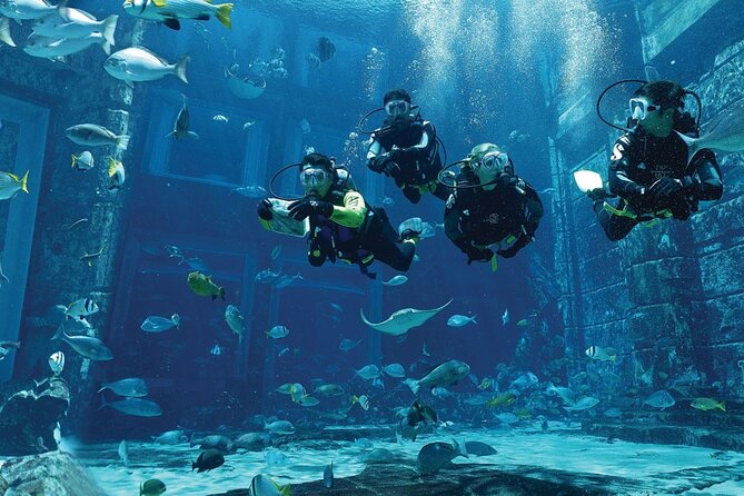 Dubai Lost Chambers Dive Discovery - What happens during the 90-minute to two-hour session