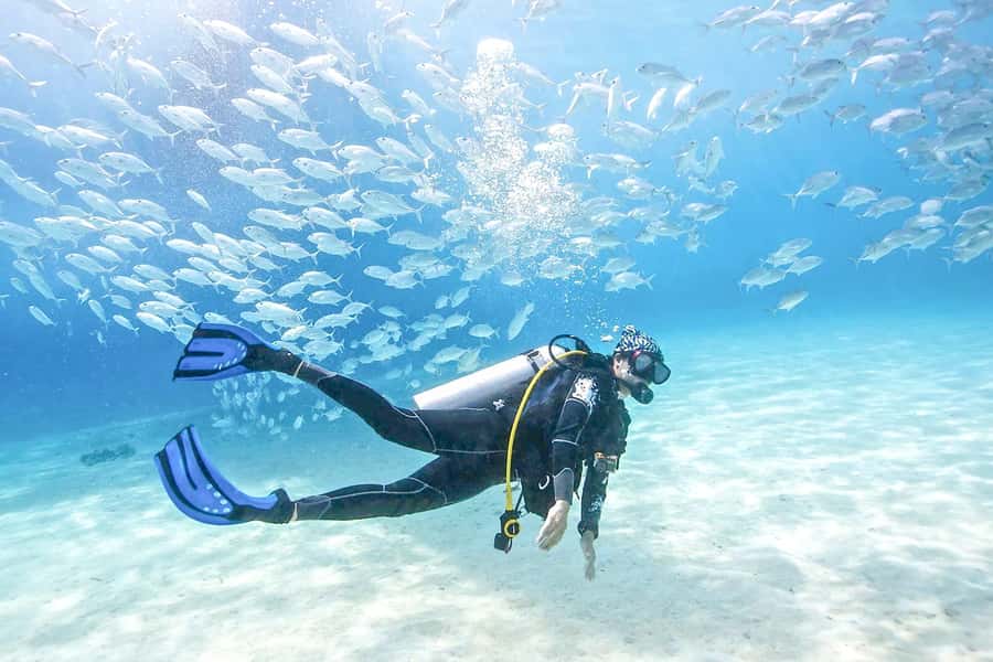 Dubai: PADI Basic Scuba Diving Course - What this PADI course really gives you