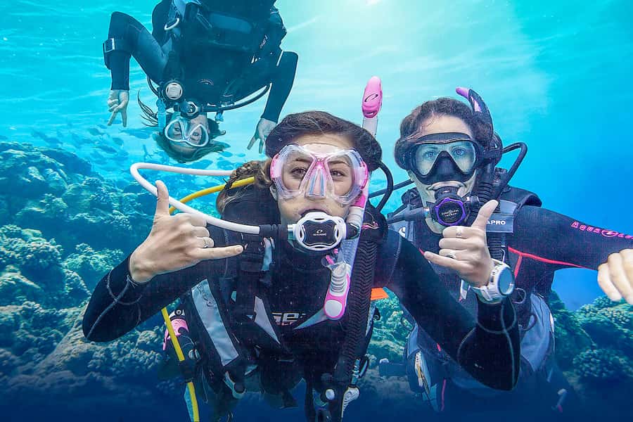 Dubai: PADI Basic Scuba Diving Course - Day two: two open-water sessions at Jumeirah 3 Beach