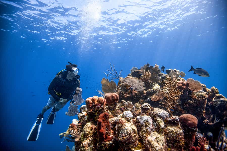 Dubai: PADI Open Water 18-Meter Diving Certification - What is included, and what you still need to bring