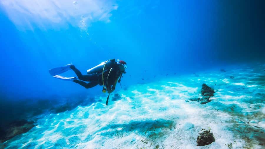 Dubai: Speedboat Scuba Diving on UAE’s Largest Diving Boat - Safety, health, and timing rules