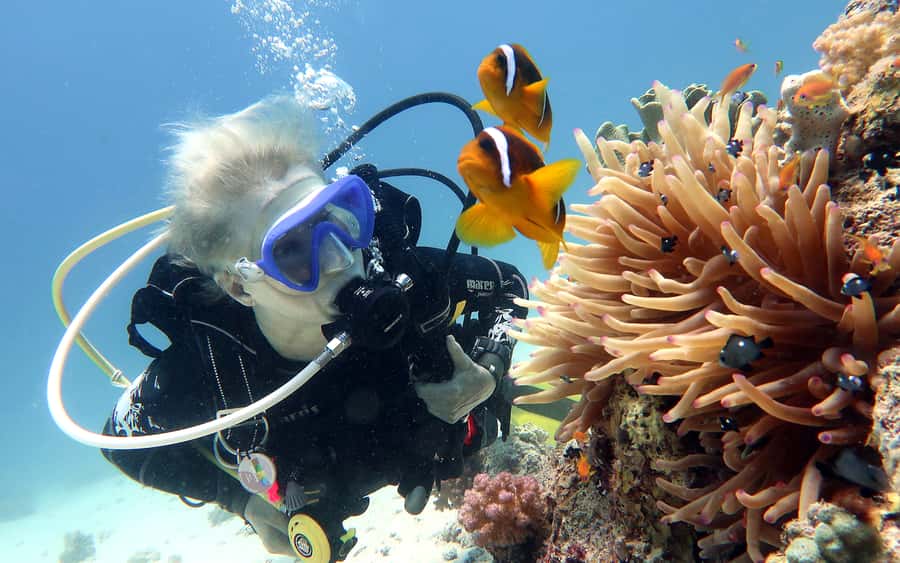 Dubai to Fujairah: First Scuba Diving + Transfer & BBQ - What this first scuba session is really like
