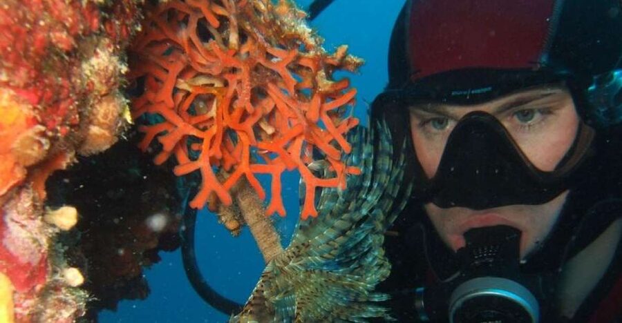 Dubrovnik: 1-Day Diving Package - What makes this Dubrovnik scuba day worth considering