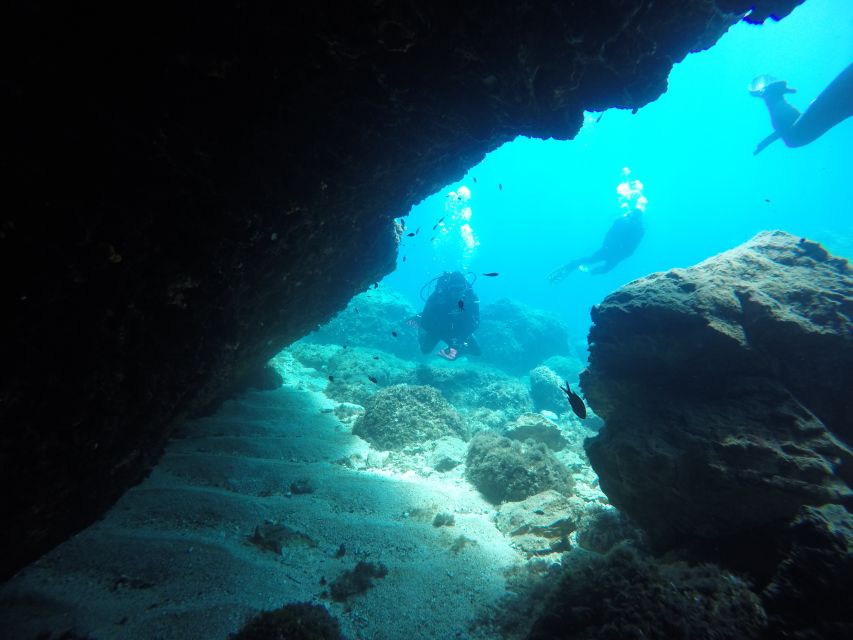 Dubrovnik: 1-Day Diving Package - Should you book this Dubrovnik scuba package?