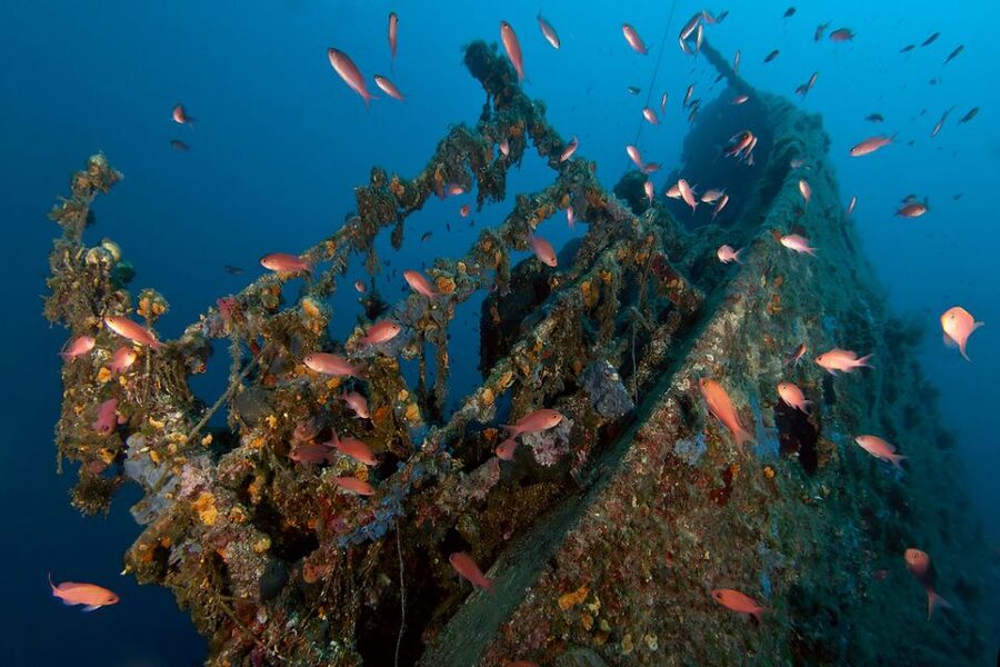 Dubrovnik: 1-Day Diving Package - Two underwater sessions around Dubrovnik