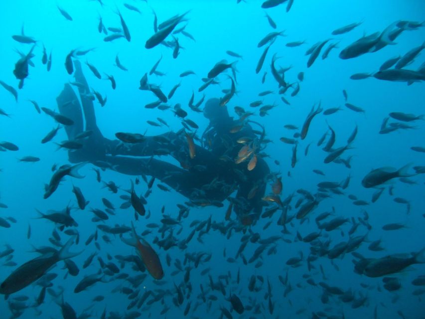 Dubrovnik: 1-Day Diving Package - Little Africa and the nearby shore sites