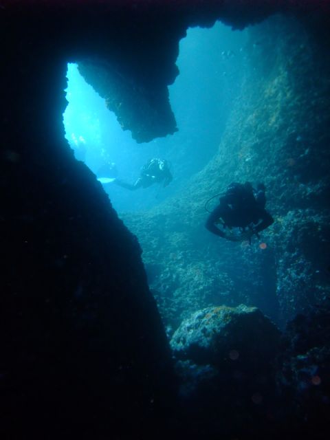 Dubrovnik: 1-Day Diving Package - Who gets the best value for $164