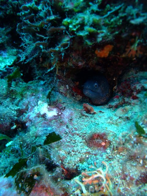 Dubrovnik: 1-Day Diving Package - How the site choice works