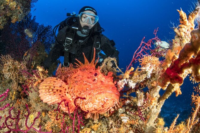 Dubrovnik 1 Dive for Certified Divers - The safety stop and instructor style