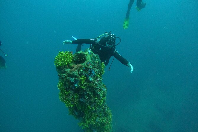 Dubrovnik 1 Dive for Certified Divers - Who will get the most from this experience