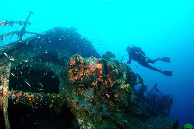 Dubrovnik 1 Dive for Certified Divers - Choosing the site in the southern Adriatic