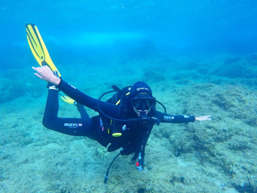Dubrovnik 2-Hour Uncertified Divers Introductory Dive - What this two-hour session really offers