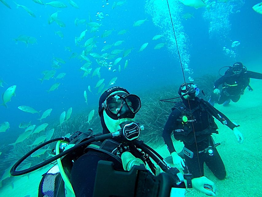 Dubrovnik 2-Hour Uncertified Divers Introductory Dive - Why the five-person limit matters