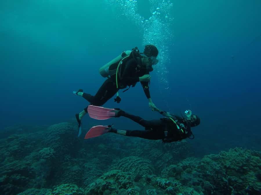 Easter Island: Tropical Diving - What makes Rapa Nui’s underwater world special