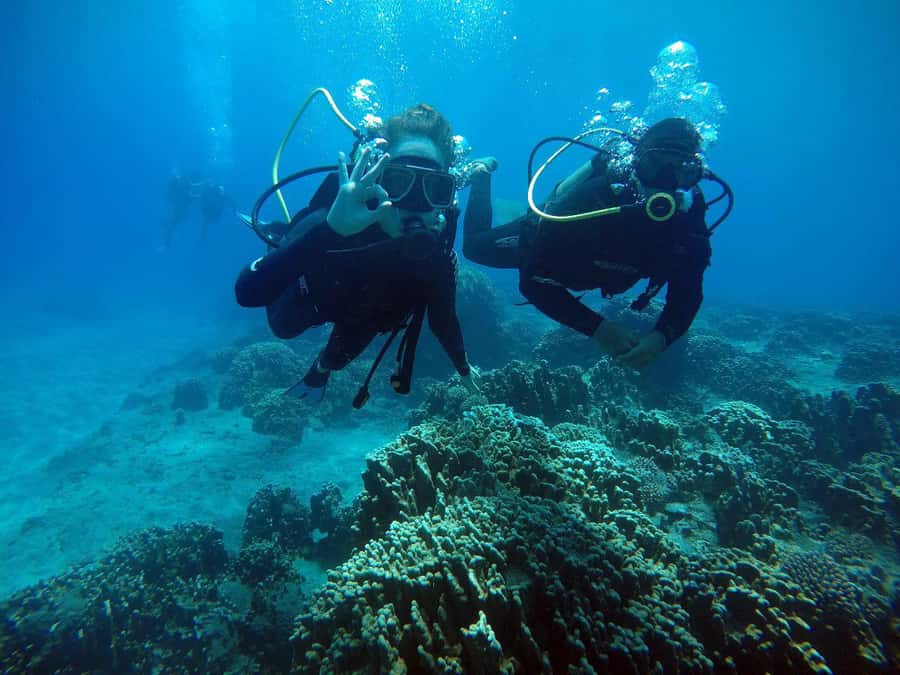 Easter Island: Tropical Diving - Starting at Hanga Piko with a proper briefing