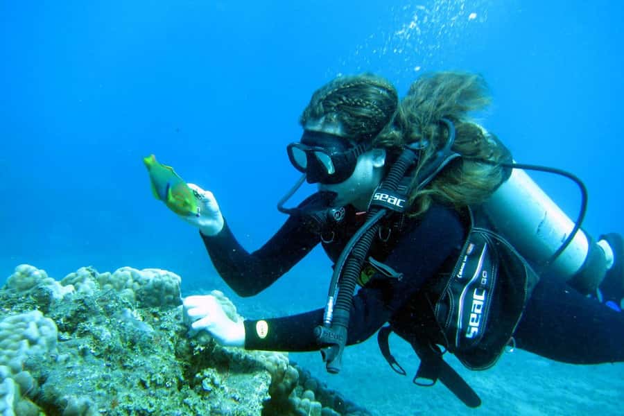 Easter Island: Tropical Diving - One hour below the Pacific surface