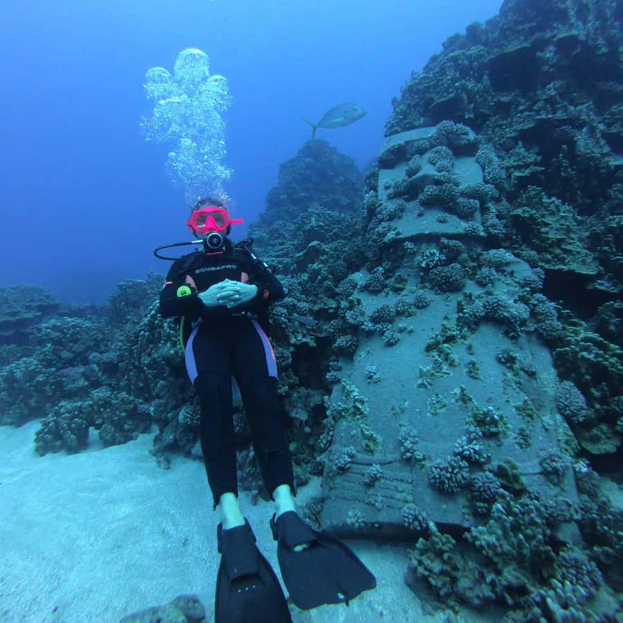 Easter Island: Tropical Diving - The transfer from the cove to the water