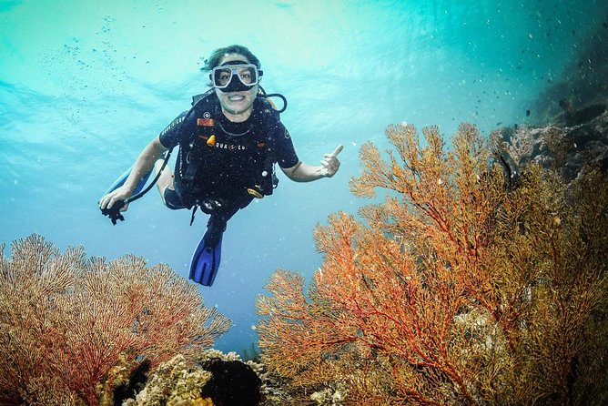 Easy Fun Scuba Dive in El Nido - Two morning sessions at separate sites