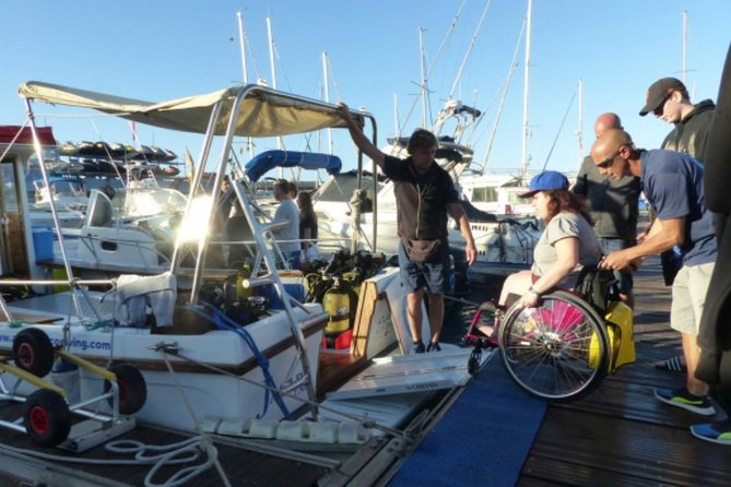 Eco Adapted Diving in Tenerife - A calm setting for your first underwater session
