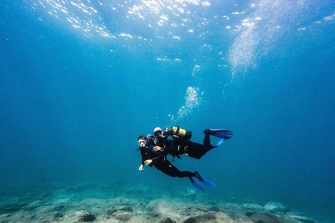 Eco Adapted Diving in Tenerife - The briefing with Atlantic Eco Experience