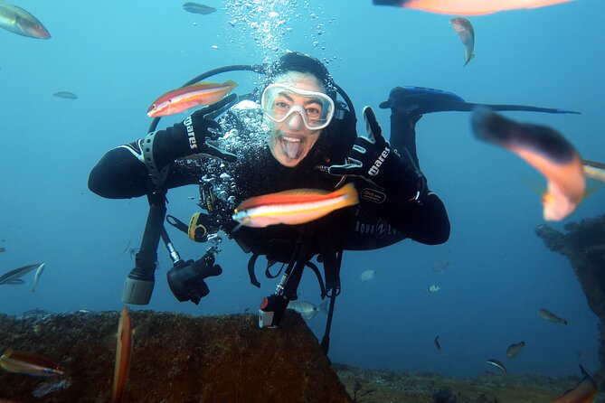 Eco - Try Dive - Why this first underwater session is different