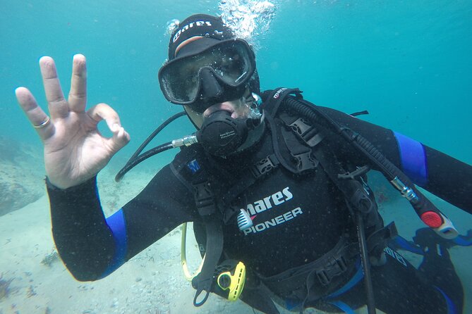 Eco - Try Dive - What you may see below the surface