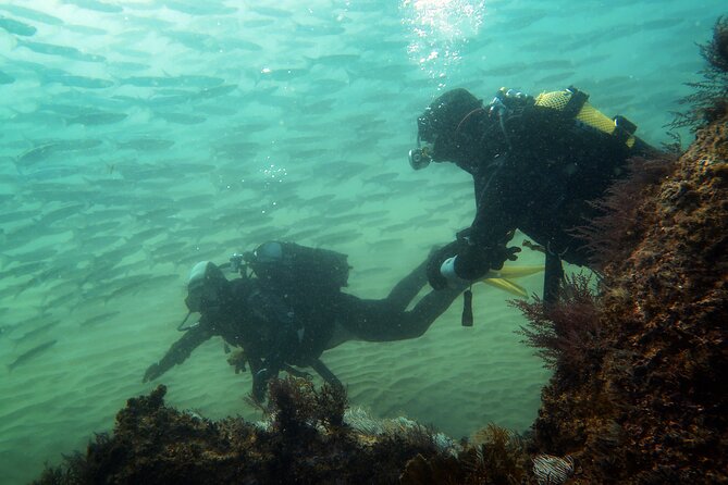 Eco - Try Dive - Who will enjoy this most
